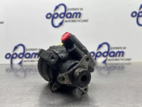 Stuurbekrachtiging Pomp-8229255