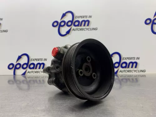 Stuurbekrachtiging Pomp-8280159