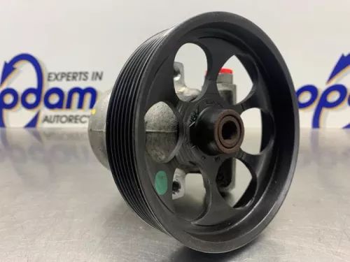 Stuurbekrachtiging Pomp-8318018