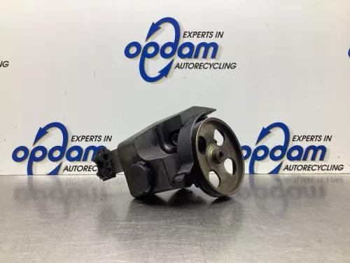 Stuurbekrachtiging Pomp-8026050