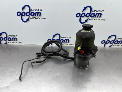 Stuurbekrachtiging Pomp-8313618