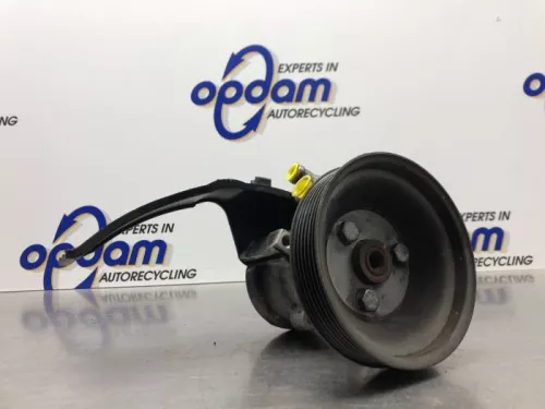 Stuurbekrachtiging Pomp-8242837