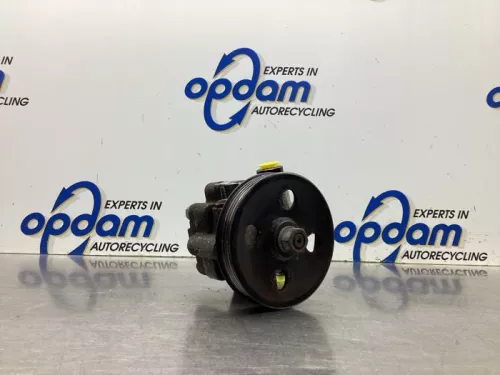 Stuurbekrachtiging Pomp-8112834