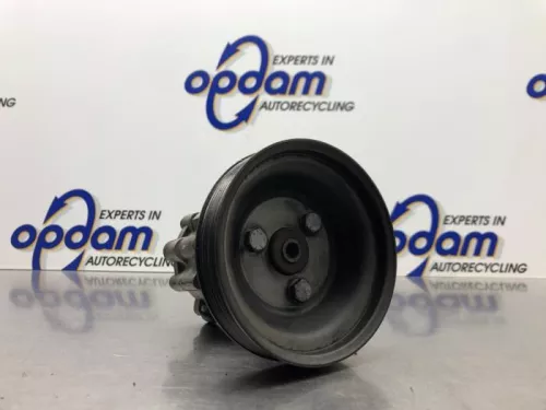 Stuurbekrachtiging Pomp-8242847