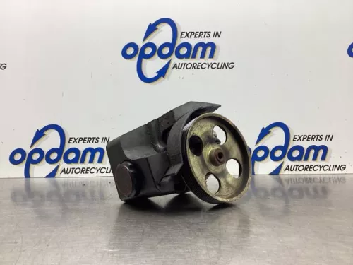 Stuurbekrachtiging Pomp-8041184