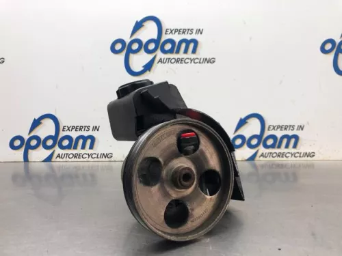 Stuurbekrachtiging Pomp-8169015