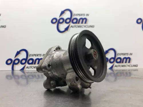 Stuurbekrachtiging Pomp-8186593