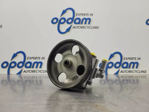 Stuurbekrachtiging Pomp-8048049