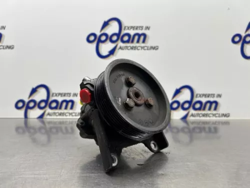 Stuurbekrachtiging Pomp-8206625