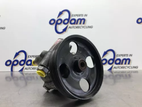 Stuurbekrachtiging Pomp-8181105