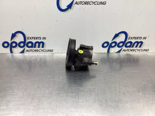 Stuurbekrachtiging Pomp-8106821