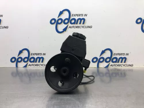 Stuurbekrachtiging Pomp-8027768