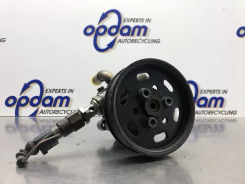 Stuurbekrachtiging Pomp-8196845