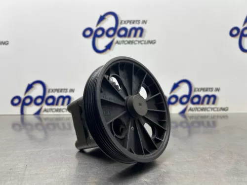 Stuurbekrachtiging Pomp-8298773