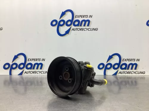 Stuurbekrachtiging Pomp-8031985