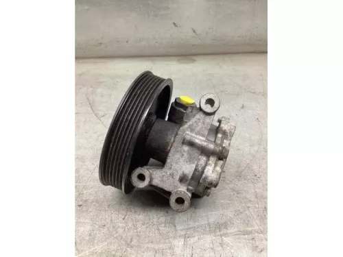 Stuurbekrachtiging Pomp-8257790