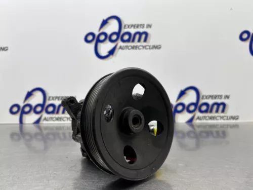 Stuurbekrachtiging Pomp-8274358