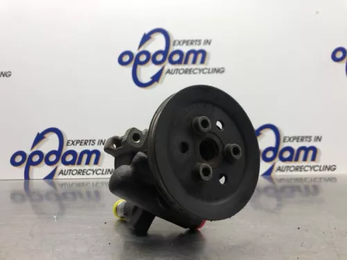 Stuurbekrachtiging Pomp-8190458