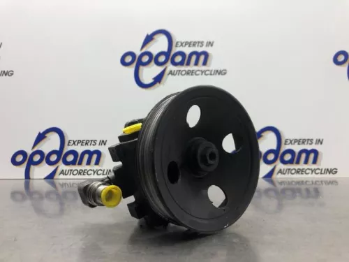 Stuurbekrachtiging Pomp-8187136