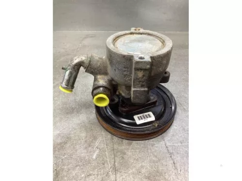 Stuurbekrachtiging Pomp-8117987