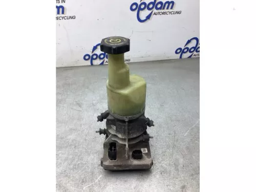 Stuurbekrachtiging Pomp-8276614