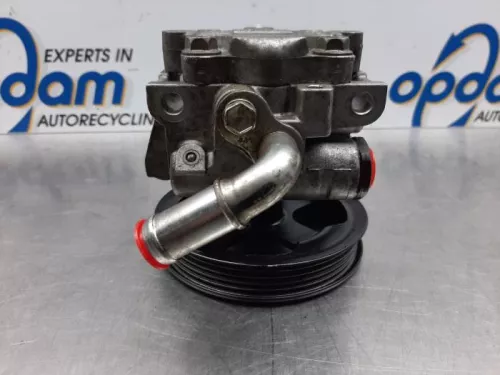 Stuurbekrachtiging Pomp-7885961