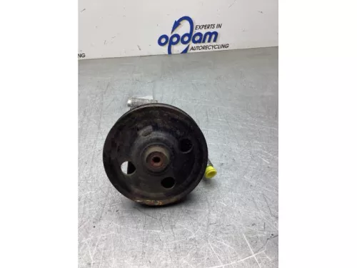 Stuurbekrachtiging Pomp-8182447