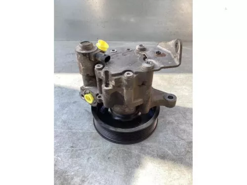 Stuurbekrachtiging Pomp-8110092