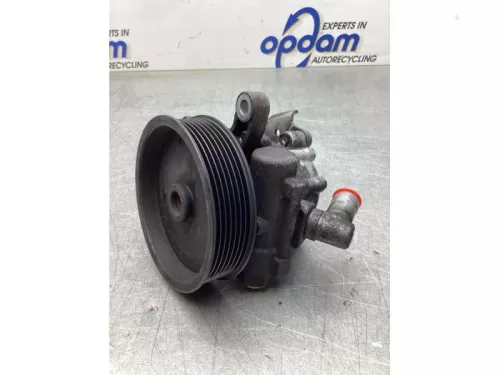 Stuurbekrachtiging Pomp-8173622