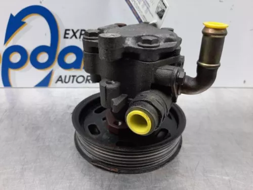 Stuurbekrachtiging Pomp-7581880