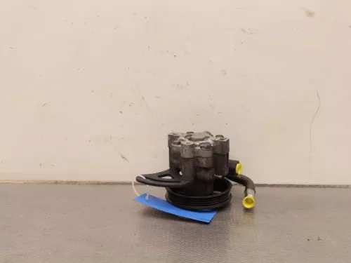 Stuurbekrachtiging Pomp-7886227