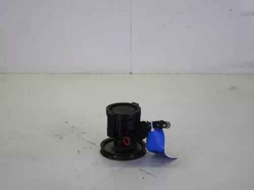 Stuurbekrachtiging Pomp-7886964