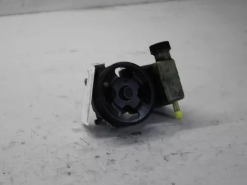 Stuurbekrachtiging Pomp-7879393