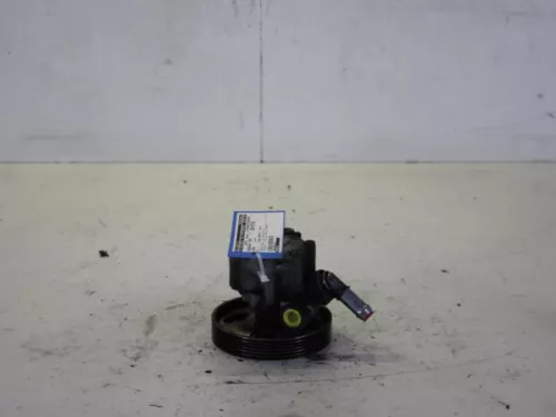 Stuurbekrachtiging Pomp-7738081