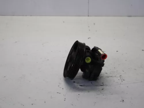 Stuurbekrachtiging Pomp-7881878