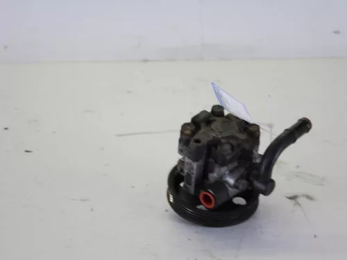 Stuurbekrachtiging Pomp-7886401