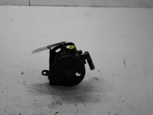 Stuurbekrachtiging Pomp-7879661