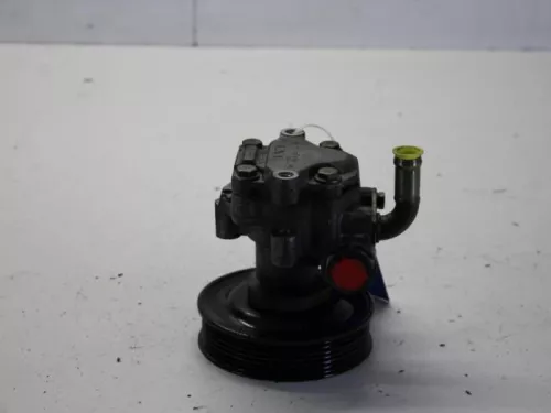 Stuurbekrachtiging Pomp-7881395