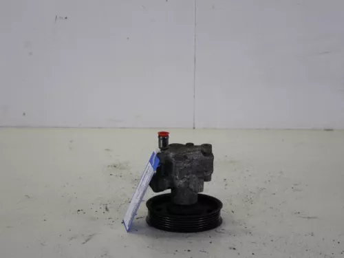 Stuurbekrachtiging Pomp-7885259