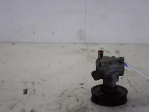 Stuurbekrachtiging Pomp-7885944