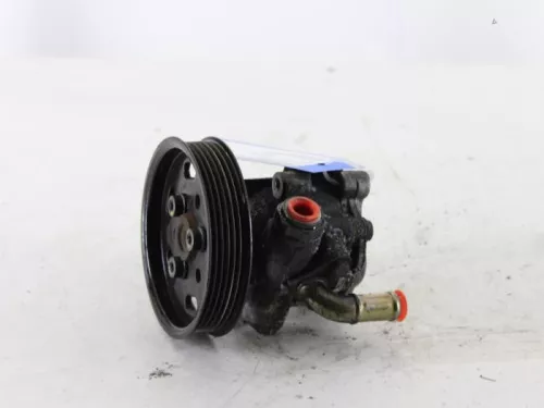 Stuurbekrachtiging Pomp-7889742