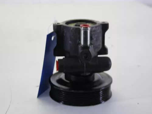 Stuurbekrachtiging Pomp-7890763