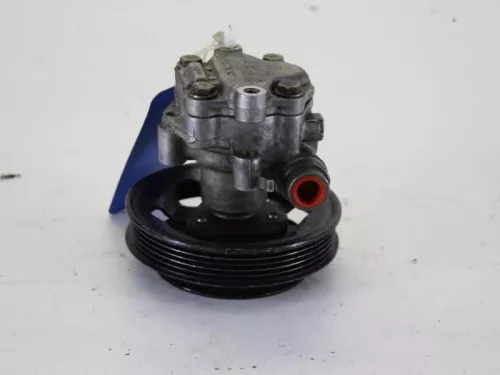 Stuurbekrachtiging Pomp-7898074