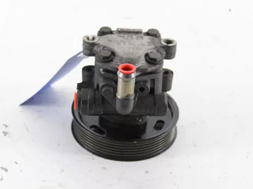 Stuurbekrachtiging Pomp-7889057