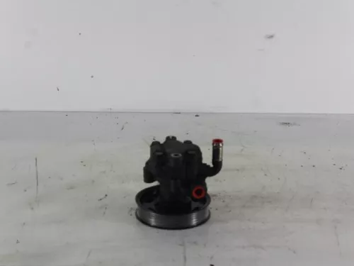 Stuurbekrachtiging Pomp-7888516