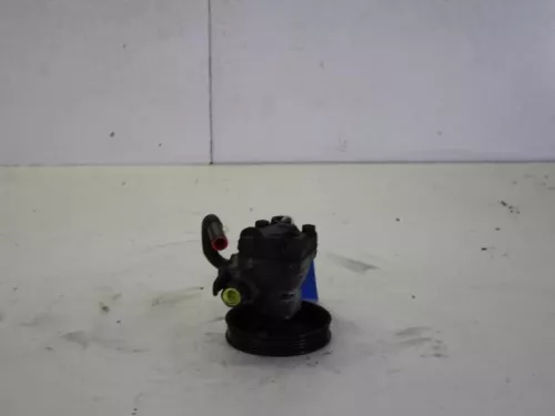 Stuurbekrachtiging Pomp-7882922