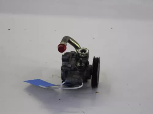 Stuurbekrachtiging Pomp-7893496