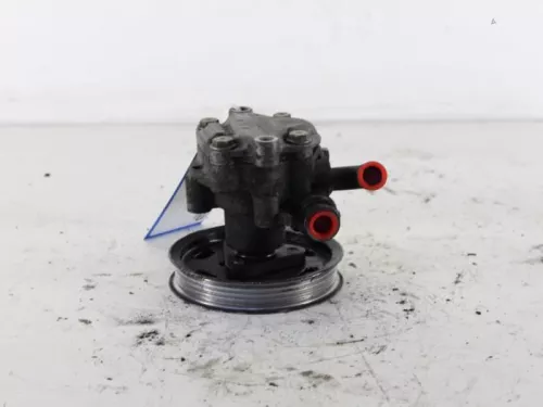 Stuurbekrachtiging Pomp-7889284