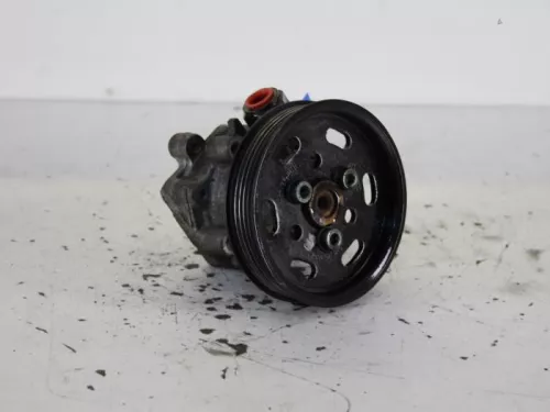 Stuurbekrachtiging Pomp-7886314