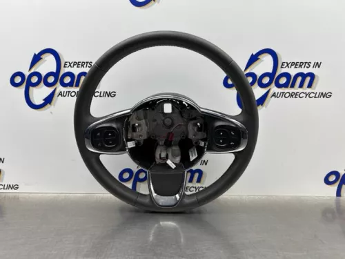 Stuurwiel-8246769